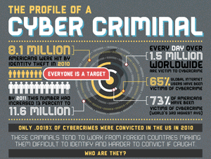 Infographic: Profile of a Cybercriminal (USA)
