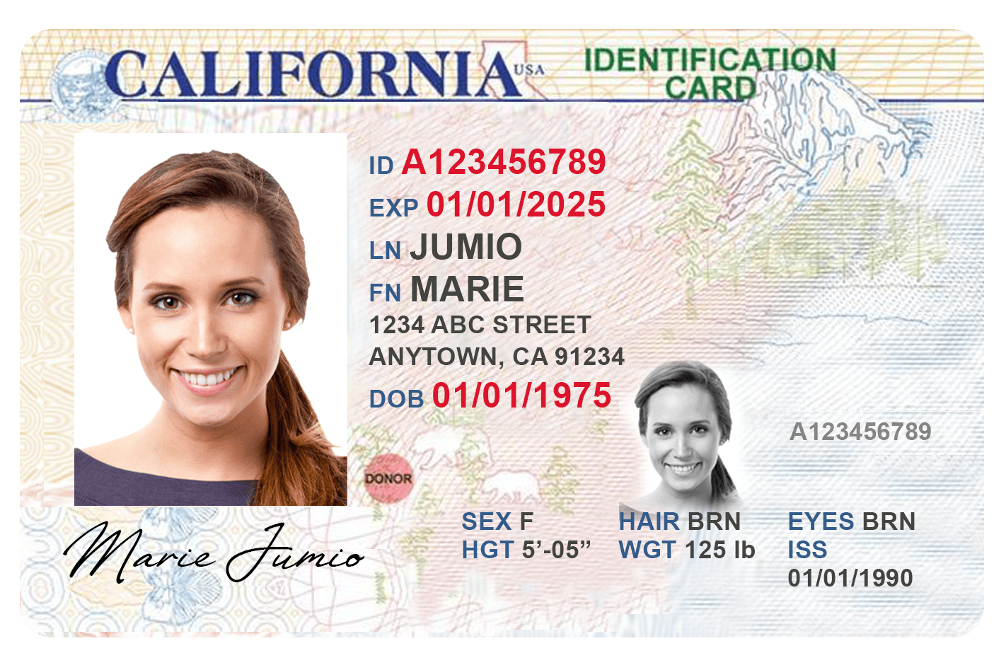 national identity card for travel usa